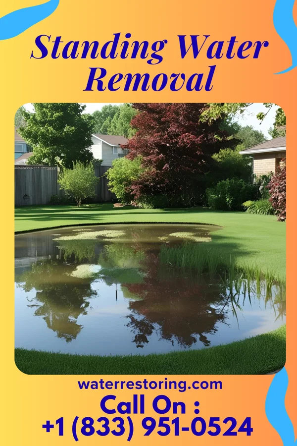 Standing Water Removal in Meadow Vale, KY
